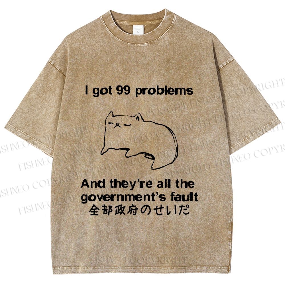 Unisex 99 Problems are All The Goverment's Fault Cat Printed Washed Tee