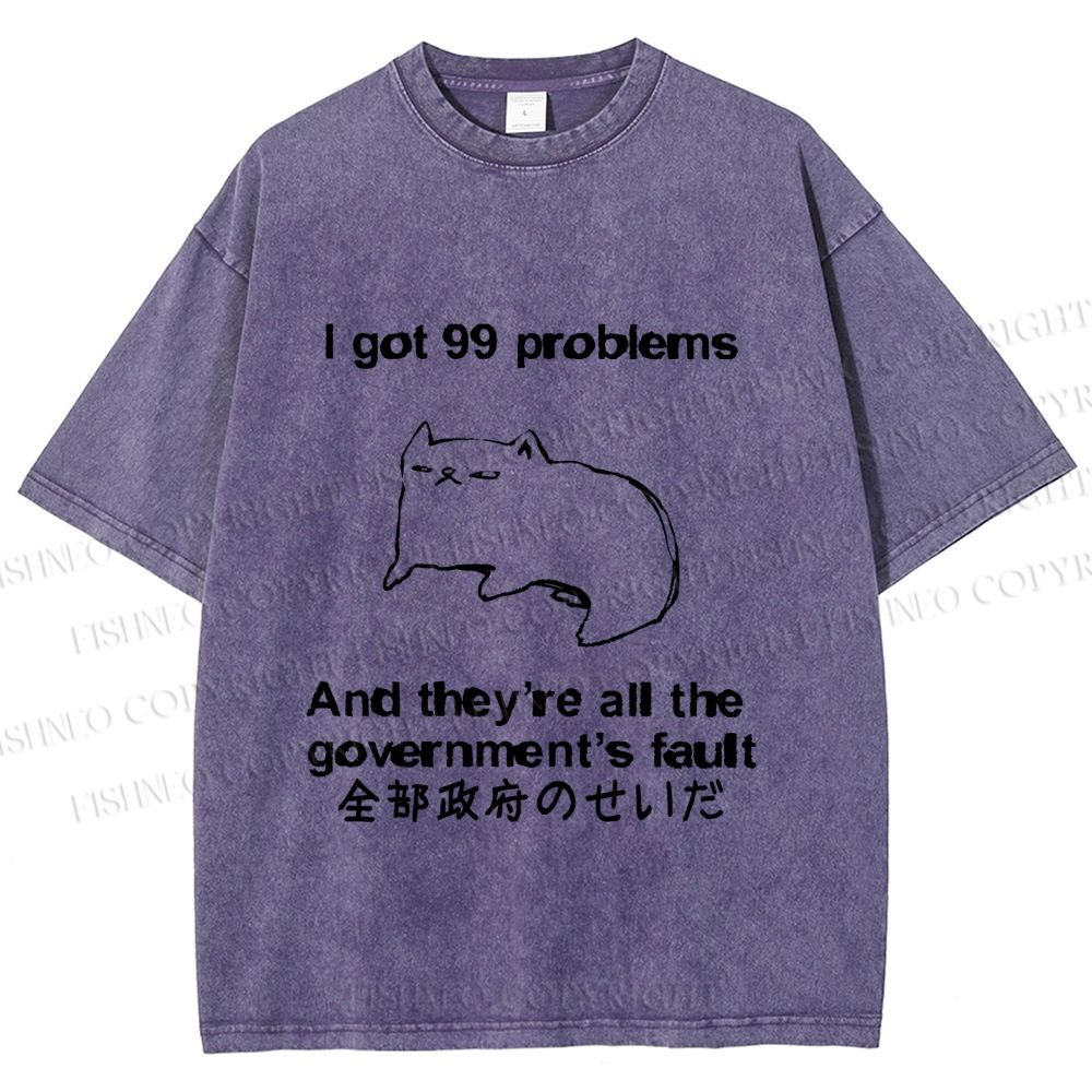 Unisex 99 Problems are All The Goverment's Fault Cat Printed Washed Tee