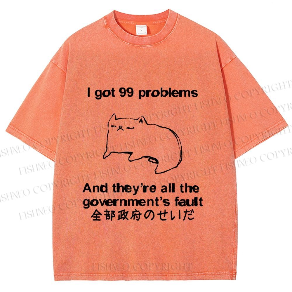 Unisex 99 Problems are All The Goverment's Fault Cat Printed Washed Tee