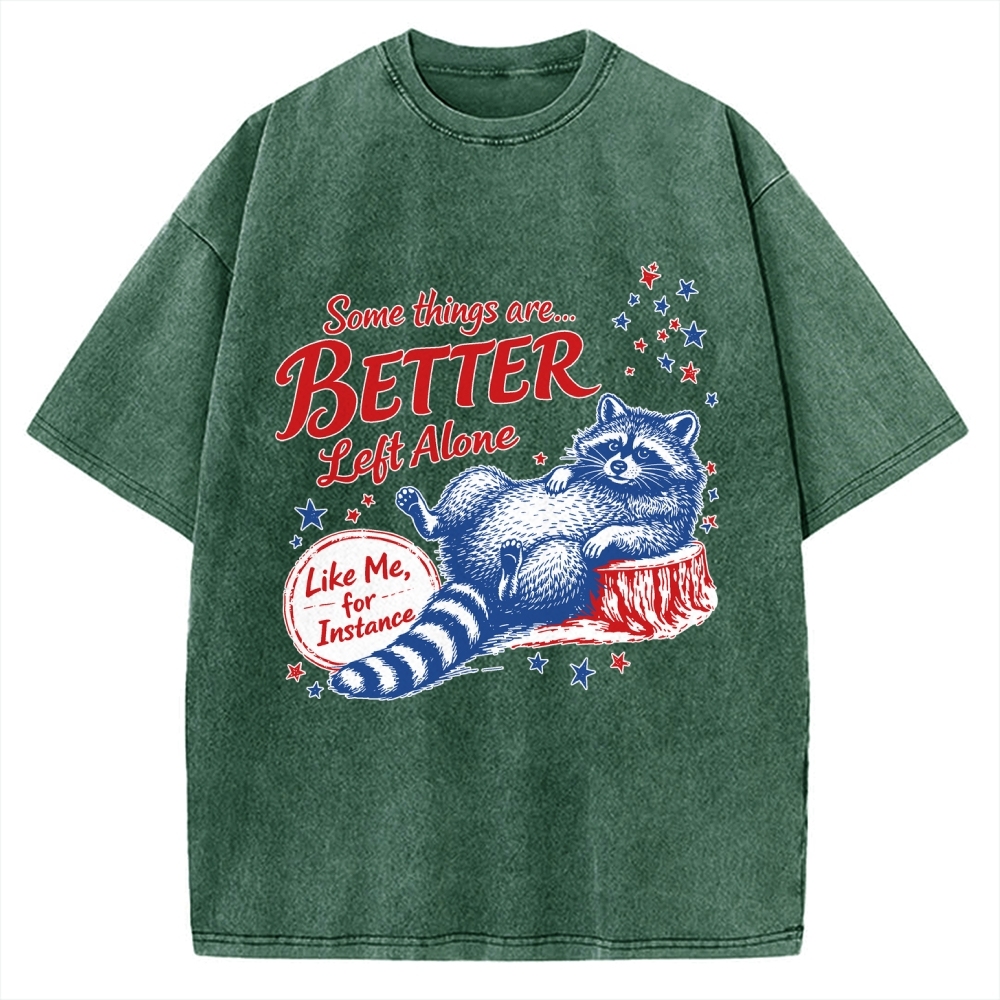 Unisex Raccoon Some Things Are Better Left Alone Vintage Washed T-shirt
