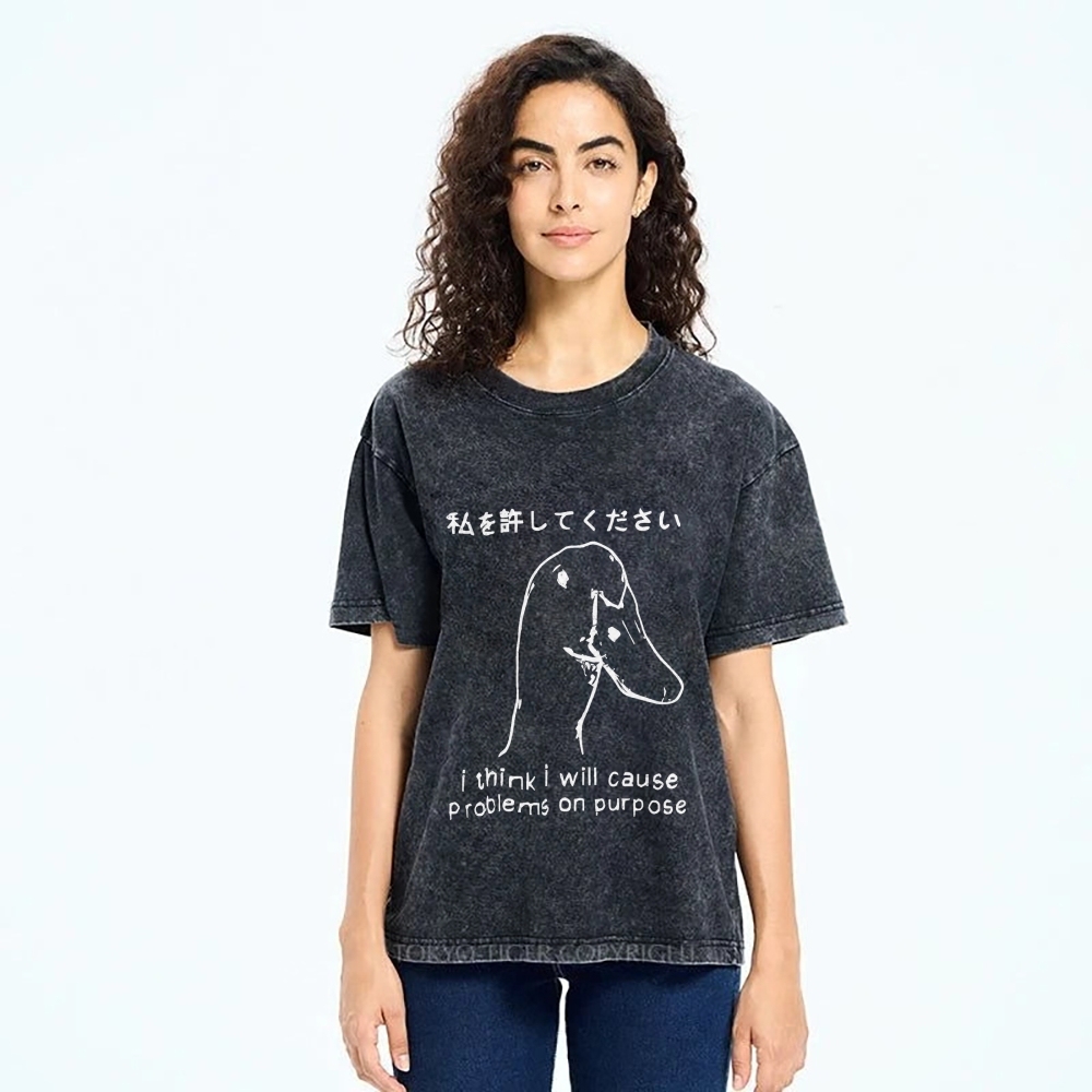 Stupid Goose Funny Washed T-Shirt