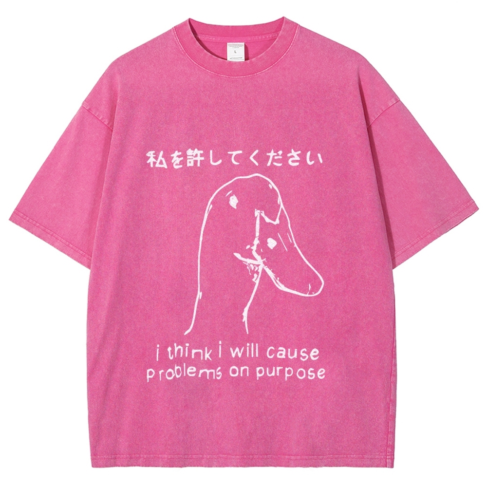 Stupid Goose Funny Washed T-Shirt