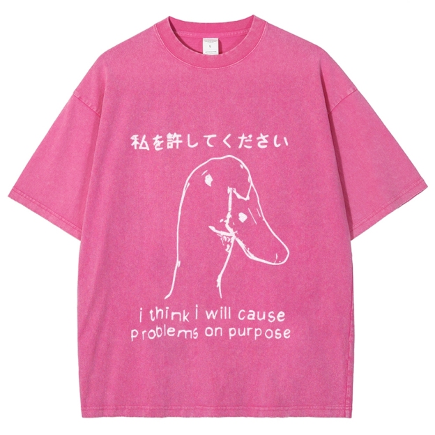 Stupid Goose Funny Washed T-Shirt