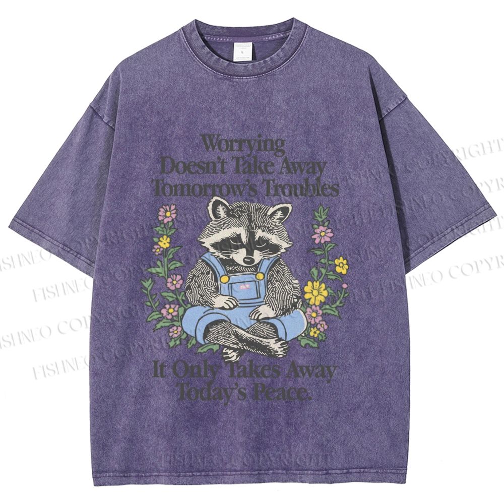 Unisex Worrying Only Take Away Today's Peace Wise Raccoon Printed Washed Tee