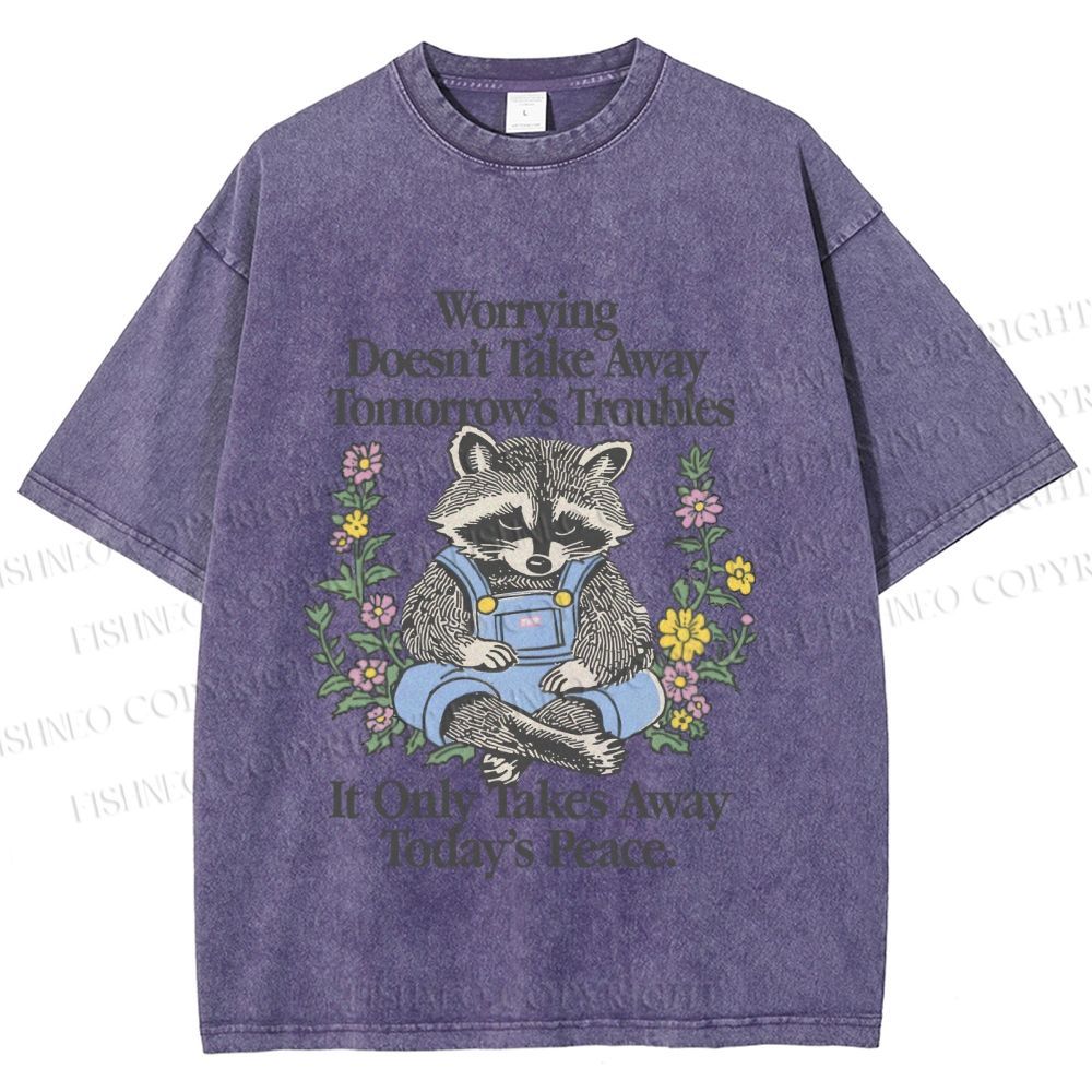 Unisex Worrying Only Take Away Today's Peace Wise Raccoon Printed Washed Tee