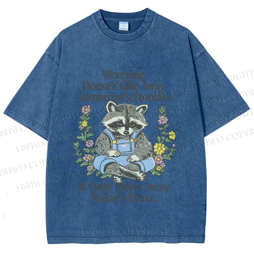 Unisex Worrying Only Take Away Today's Peace Wise Raccoon Printed Washed Tee