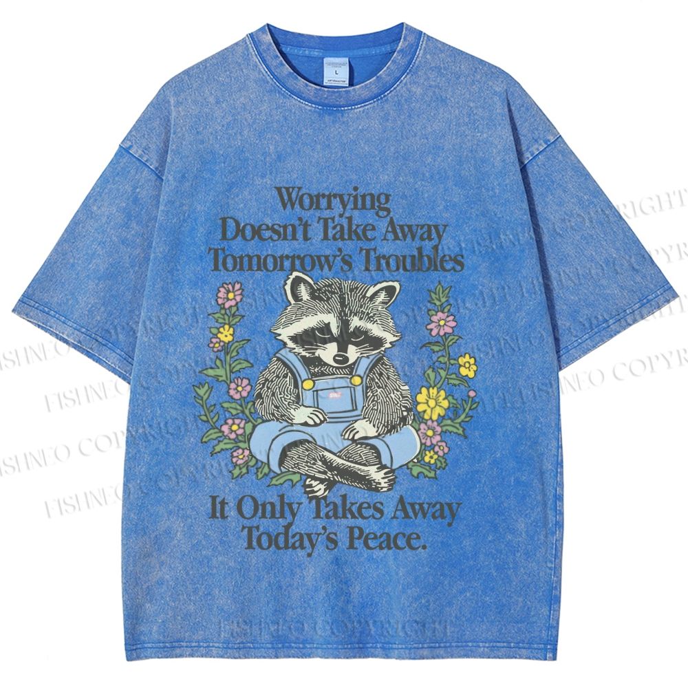 Unisex Worrying Only Take Away Today's Peace Wise Raccoon Printed Washed Tee