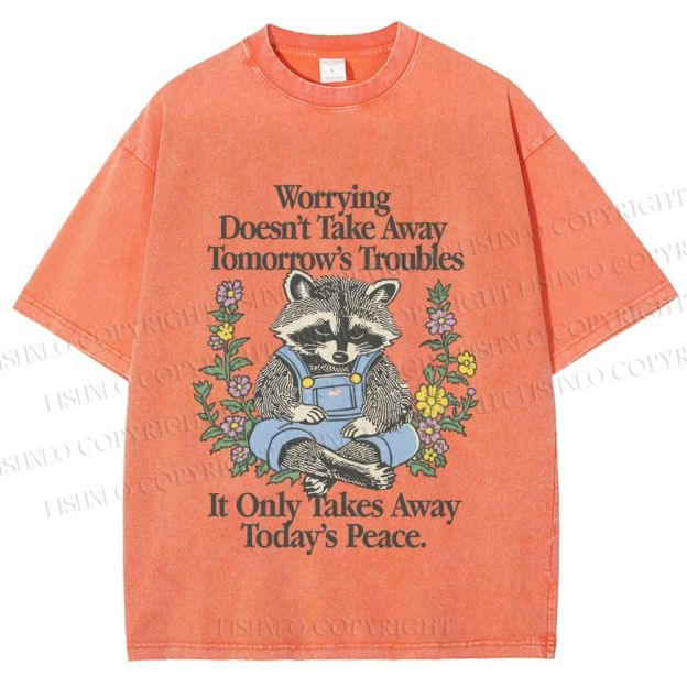 Unisex Worrying Only Take Away Today's Peace Wise Raccoon Printed Washed Tee
