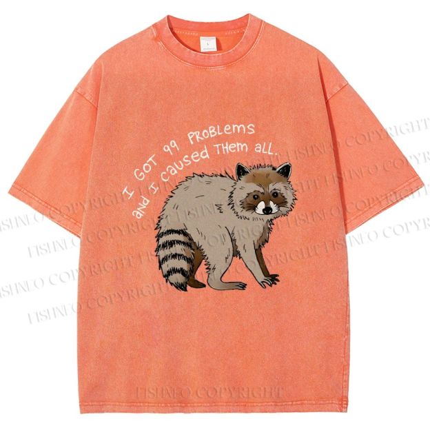 Unisex Raccoon Funny Meme Printed Washed Tee