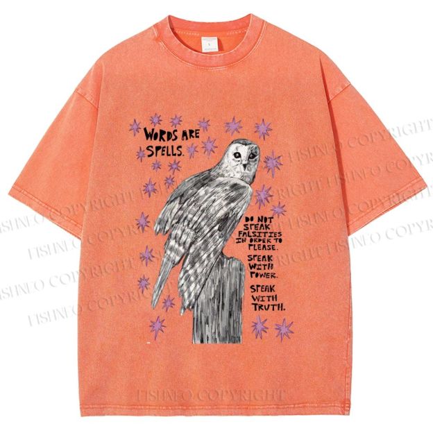 Unisex Owl Words Are Spells Printed Washed Tee