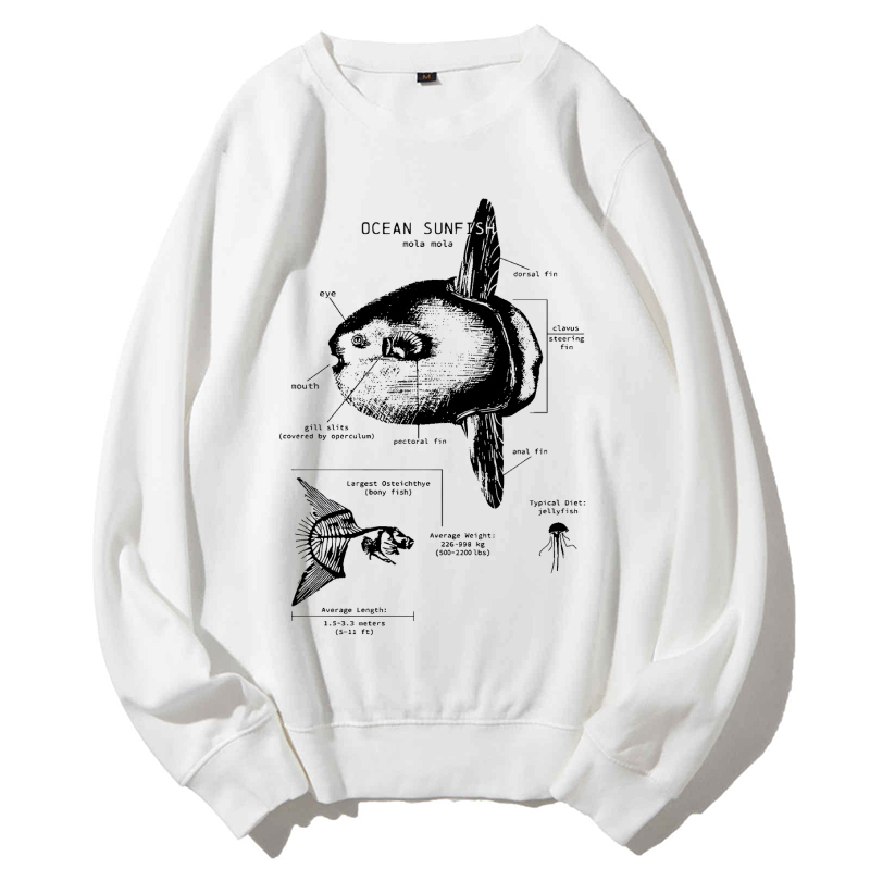 Ocean Sunfish Anatomy Cotton Sweatshirt