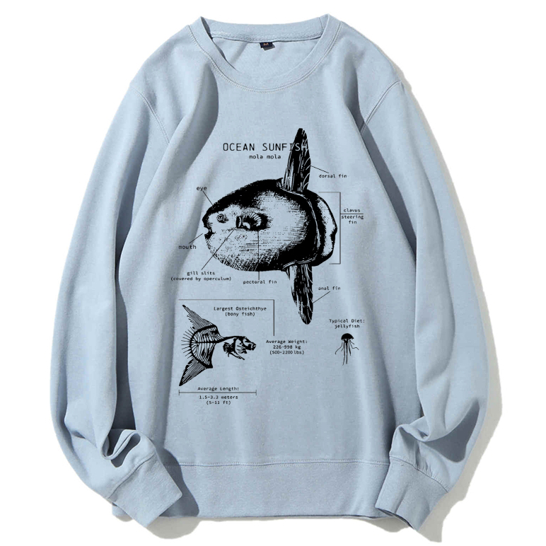 Ocean Sunfish Anatomy Cotton Sweatshirt