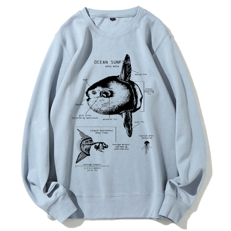 Ocean Sunfish Anatomy Cotton Sweatshirt