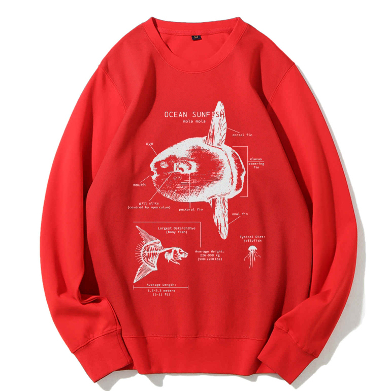 Ocean Sunfish Anatomy Cotton Sweatshirt