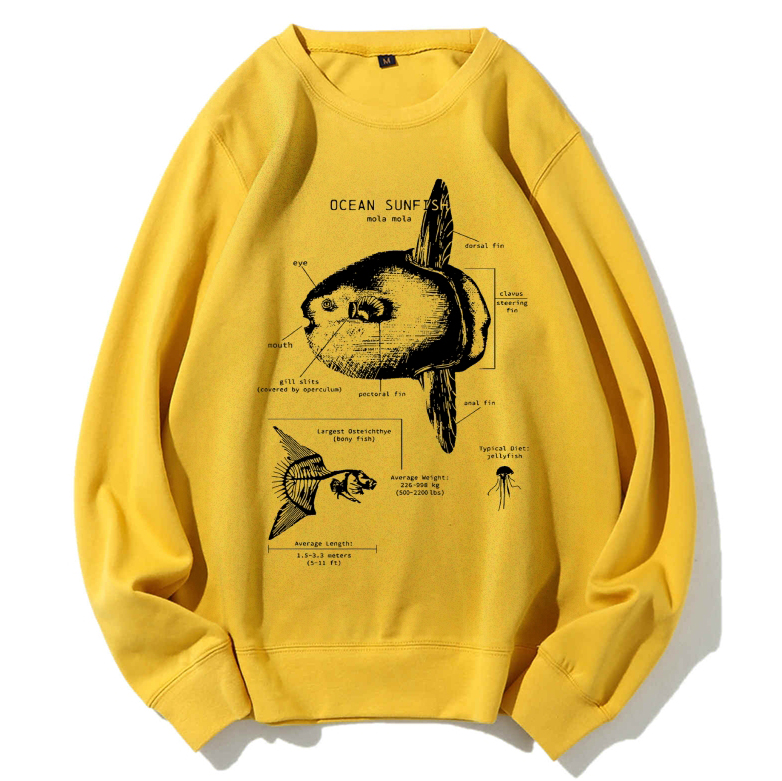 Ocean Sunfish Anatomy Cotton Sweatshirt