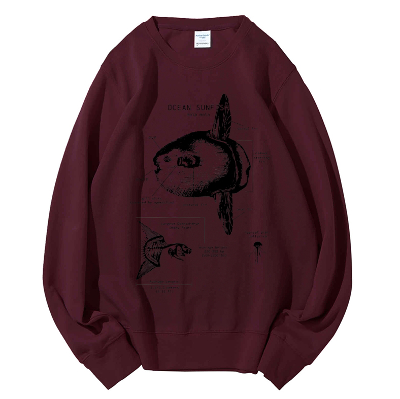 Ocean Sunfish Anatomy Cotton Sweatshirt
