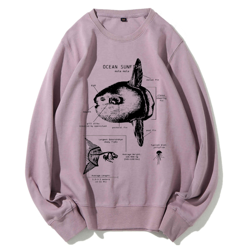Ocean Sunfish Anatomy Cotton Sweatshirt
