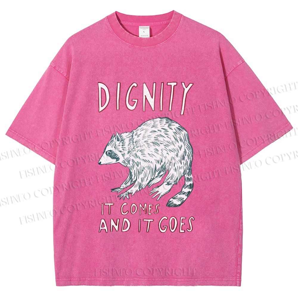 Unisex Dignity Comes And Goes Raccoon Printed Washed Tee
