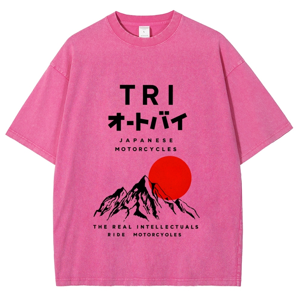 Japanese Mount Fuji Vintage Washed T-shirt