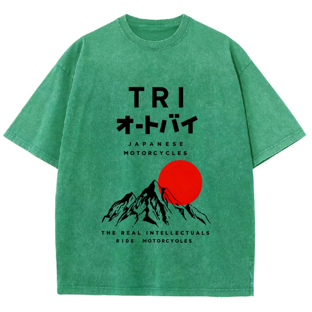 Japanese Mount Fuji Vintage Washed T-shirt