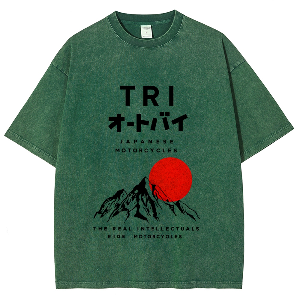 Japanese Mount Fuji Vintage Washed T-shirt