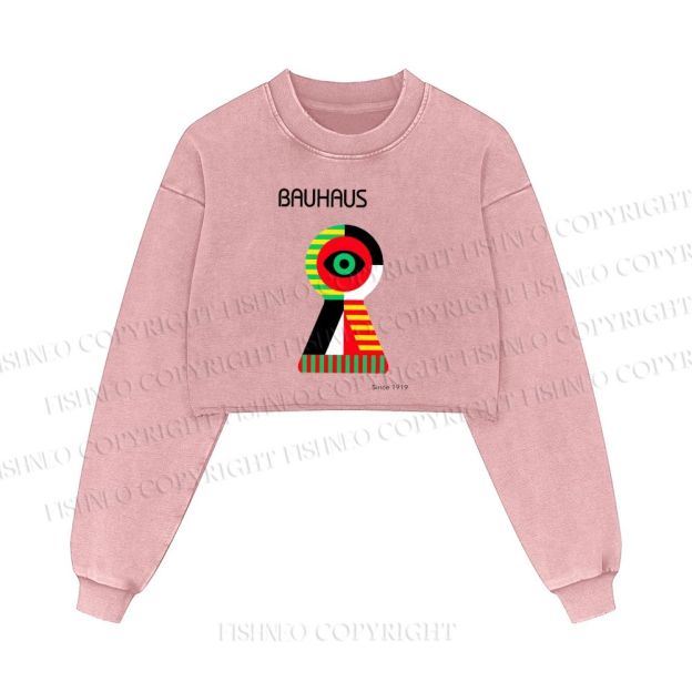 Bauhaus Colored Geometric Eyes Printed Washed Crop Sweatshirt