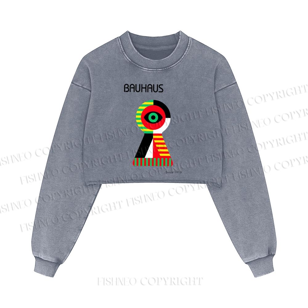 Bauhaus Colored Geometric Eyes Printed Washed Crop Sweatshirt