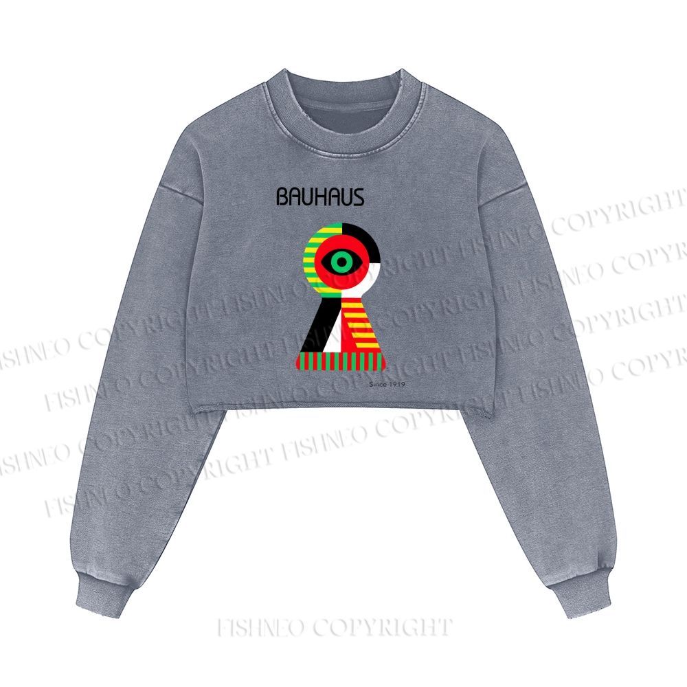 Bauhaus Colored Geometric Eyes Printed Washed Crop Sweatshirt