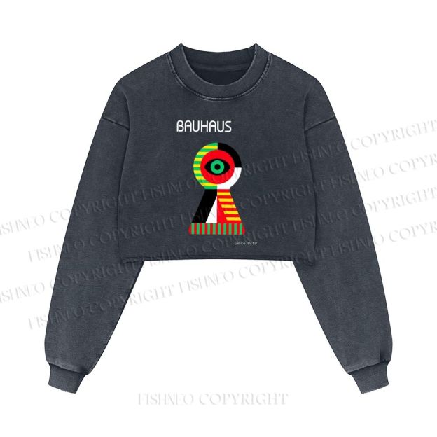 Bauhaus Colored Geometric Eyes Printed Washed Crop Sweatshirt