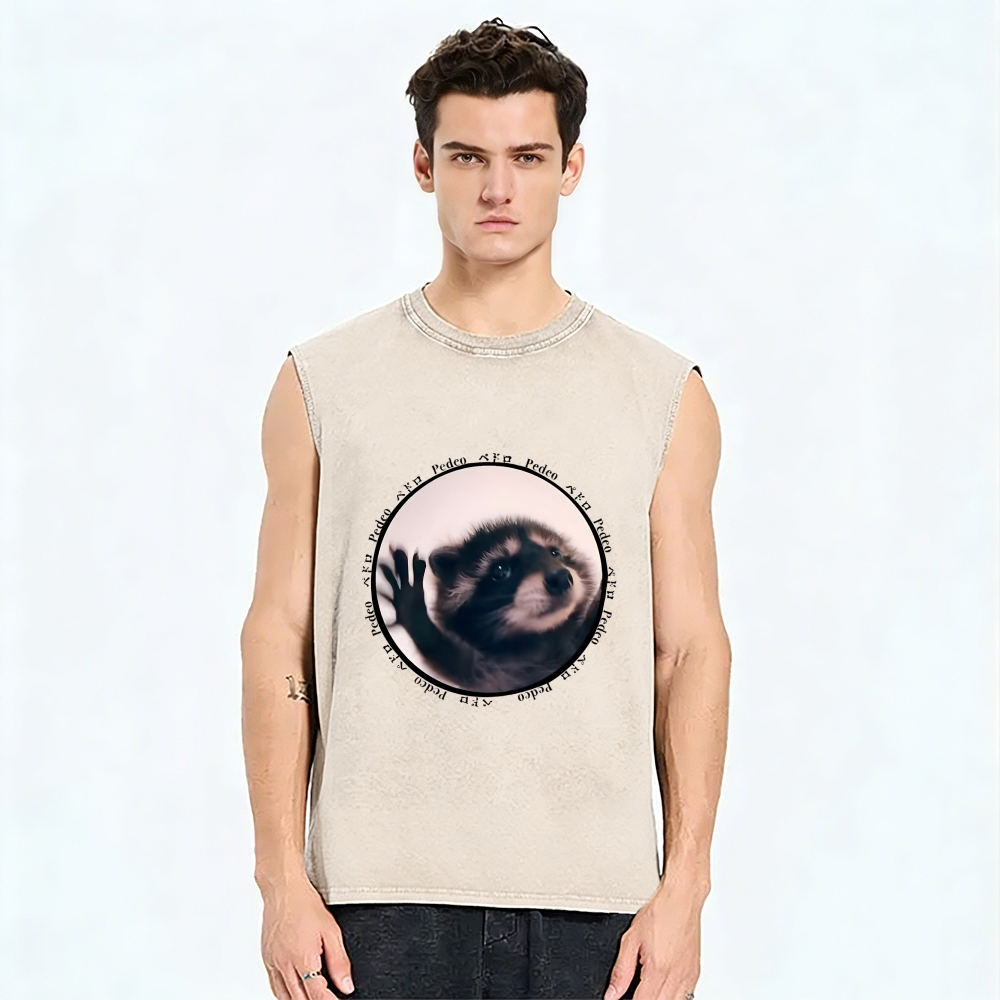 Pedro Funny Meme Raccoon Vintage Distressed Washed Tank Top