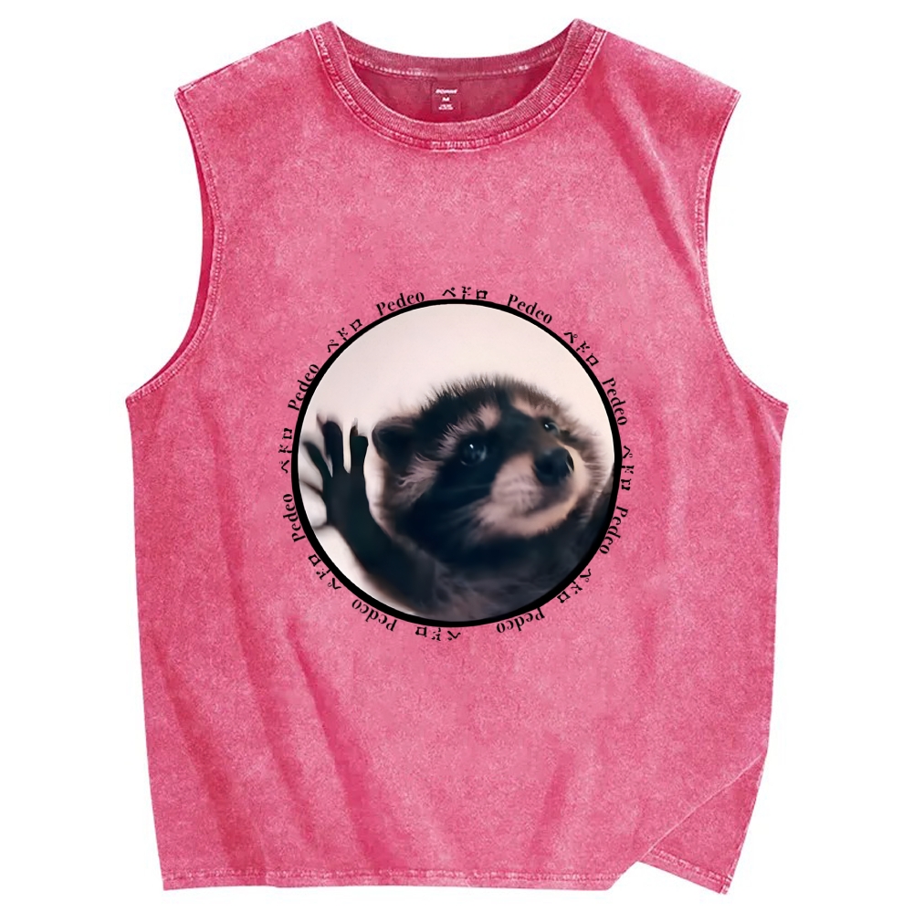 Pedro Funny Meme Raccoon Vintage Distressed Washed Tank Top