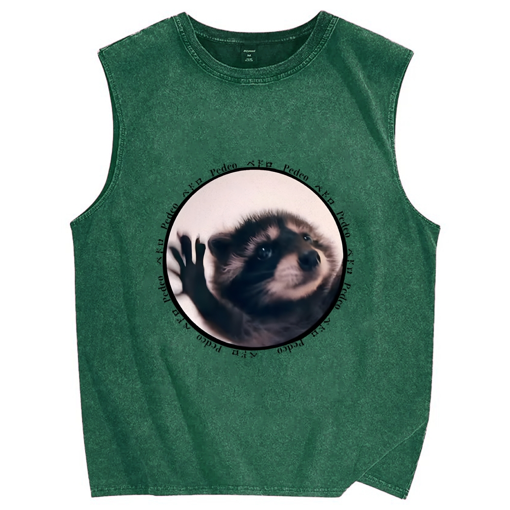 Pedro Funny Meme Raccoon Vintage Distressed Washed Tank Top