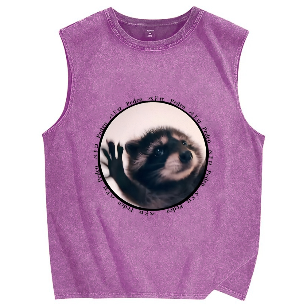 Pedro Funny Meme Raccoon Vintage Distressed Washed Tank Top
