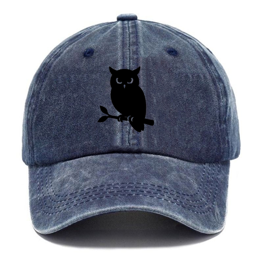 Owl perched on branch at night - Washed Cap