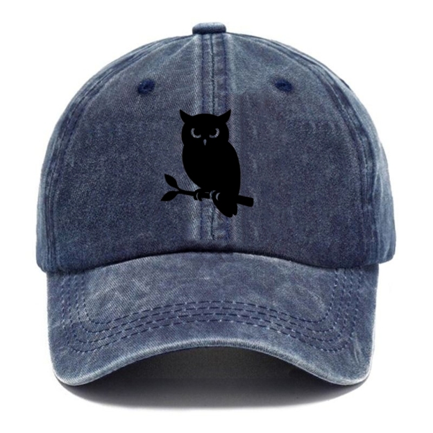 Owl perched on branch at night - Washed Cap