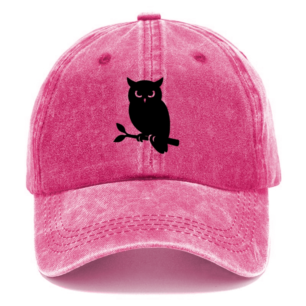 Owl perched on branch at night - Washed Cap