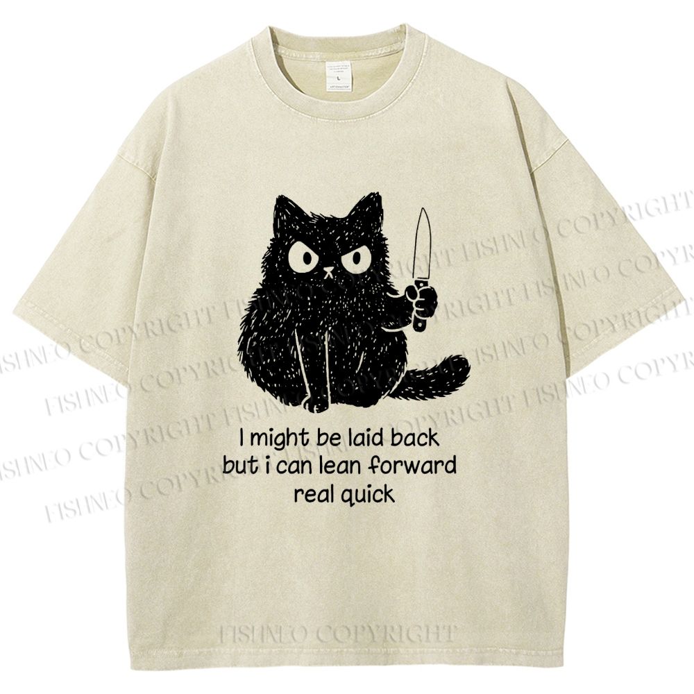 Unisex Dont Mess With This Cat Printed Washed Tee