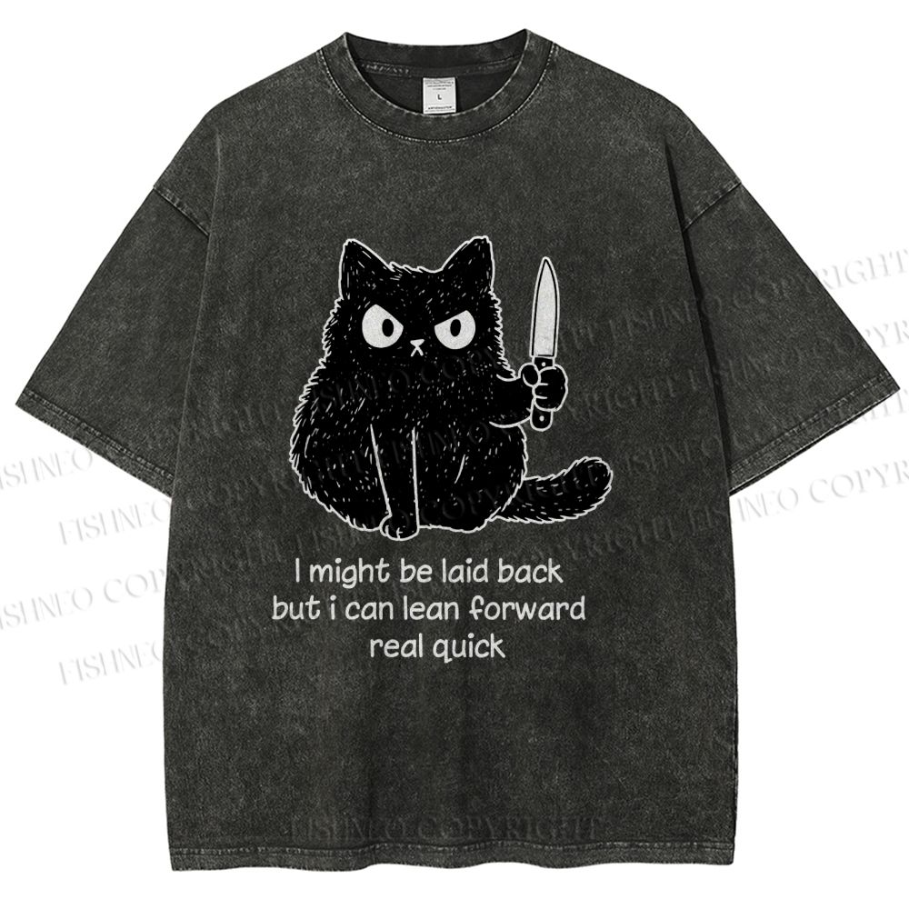 Unisex Dont Mess With This Cat Printed Washed Tee