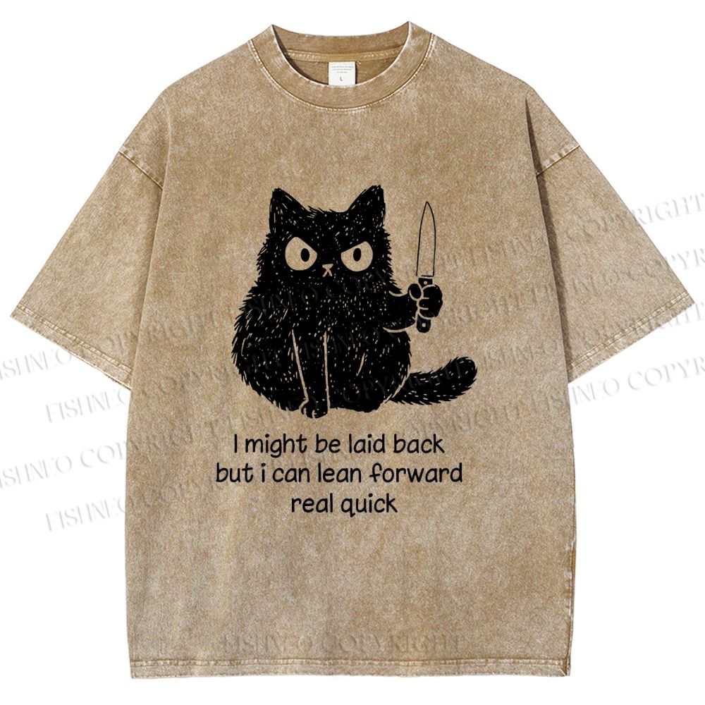 Unisex Dont Mess With This Cat Printed Washed Tee