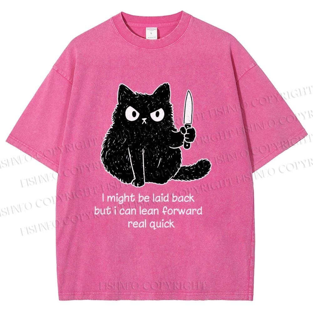 Unisex Dont Mess With This Cat Printed Washed Tee