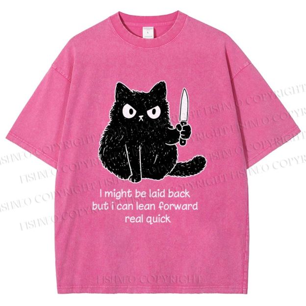 Unisex Dont Mess With This Cat Printed Washed Tee