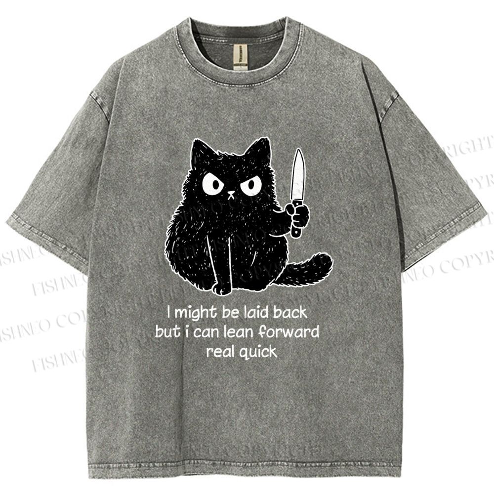 Unisex Dont Mess With This Cat Printed Washed Tee