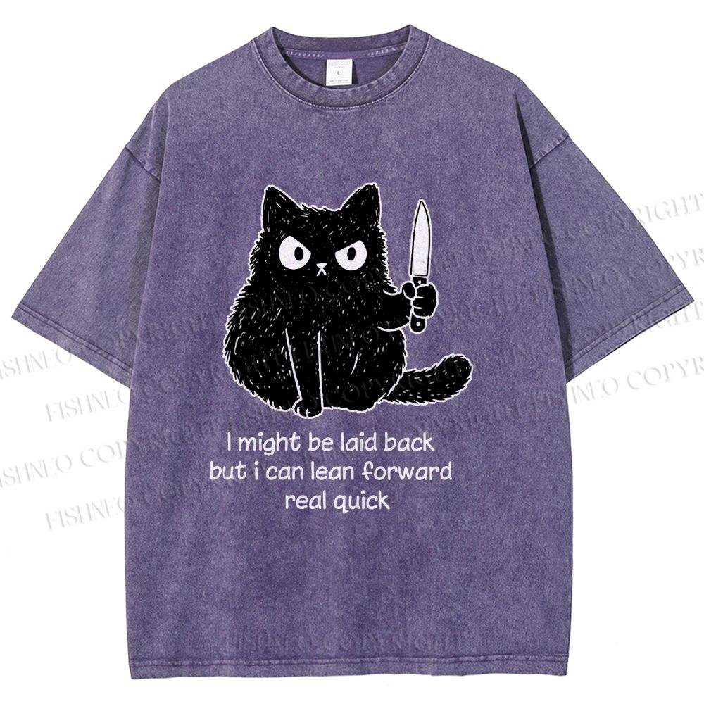 Unisex Dont Mess With This Cat Printed Washed Tee