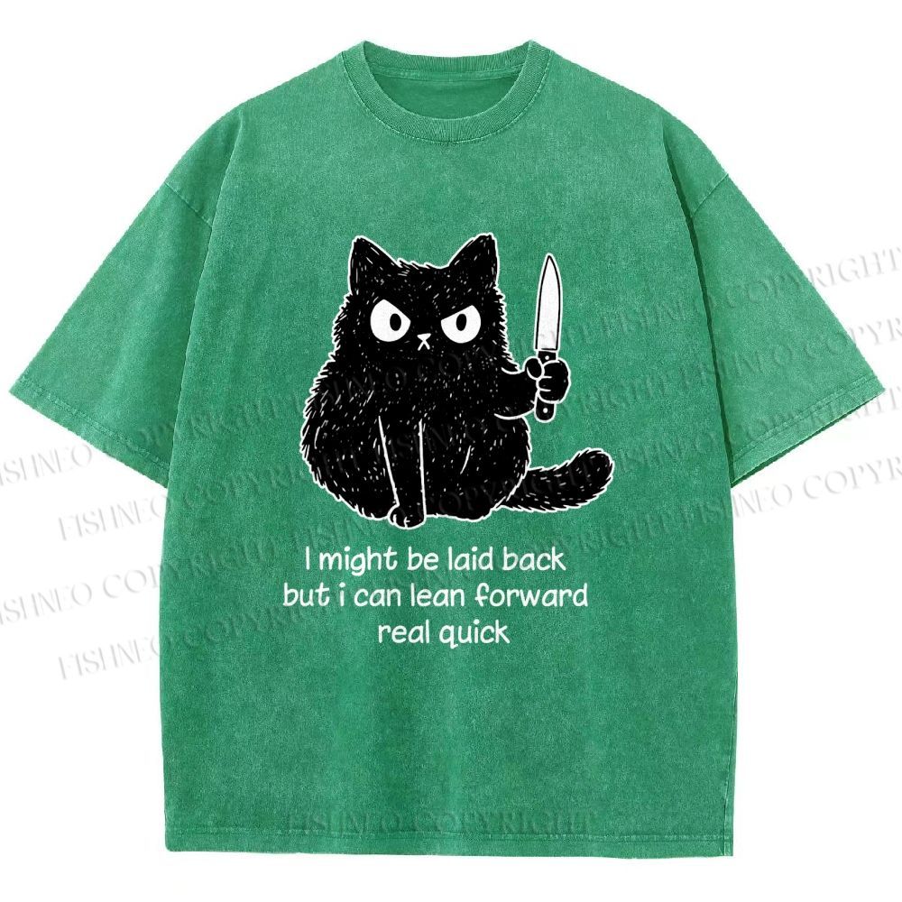 Unisex Dont Mess With This Cat Printed Washed Tee