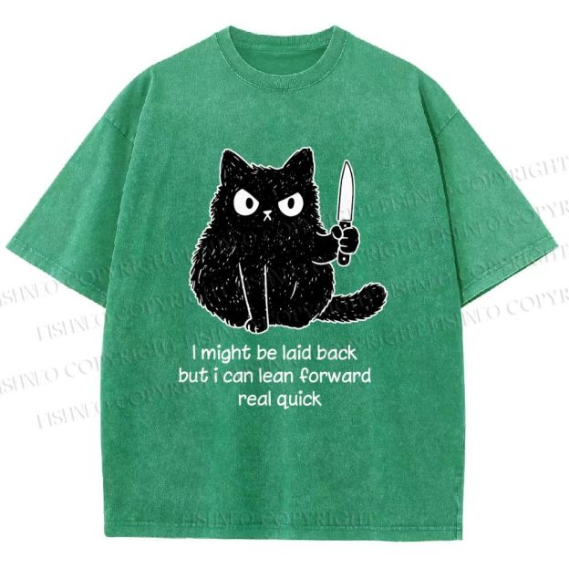 Unisex Dont Mess With This Cat Printed Washed Tee