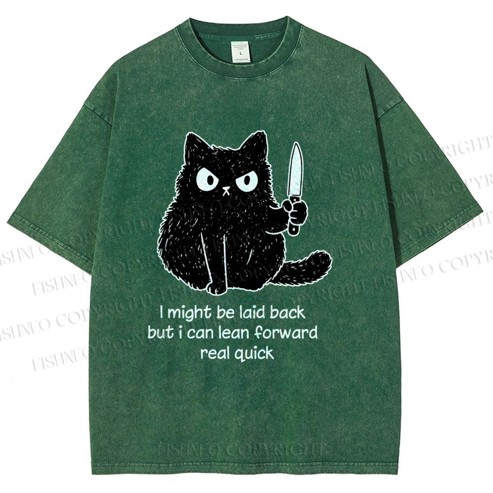 Unisex Dont Mess With This Cat Printed Washed Tee