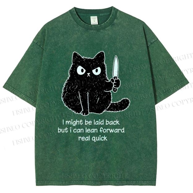 Unisex Dont Mess With This Cat Printed Washed Tee