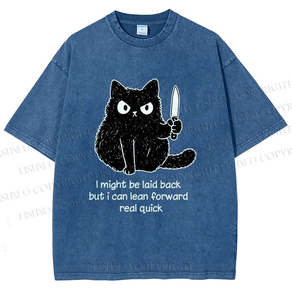 Unisex Dont Mess With This Cat Printed Washed Tee