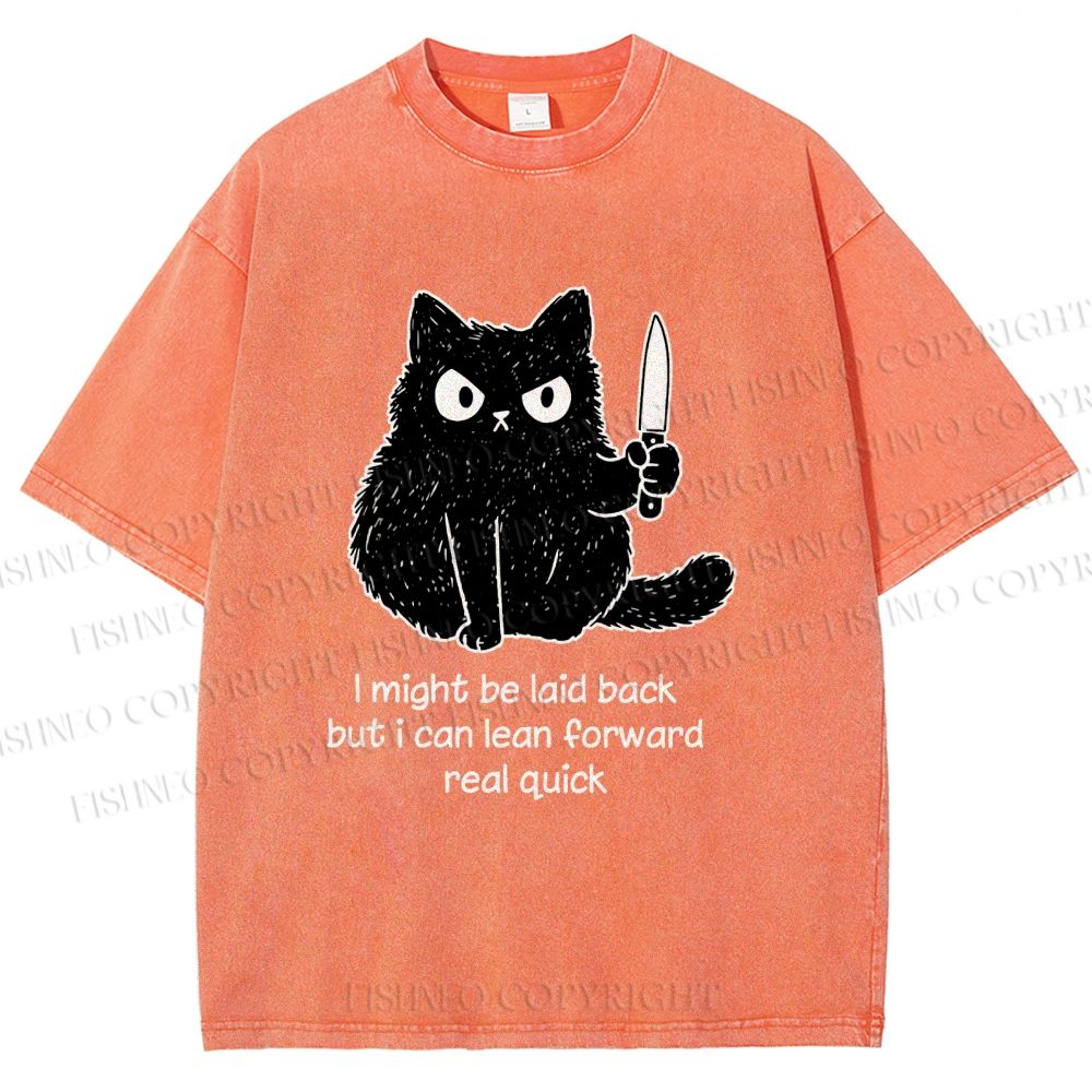 Unisex Dont Mess With This Cat Printed Washed Tee