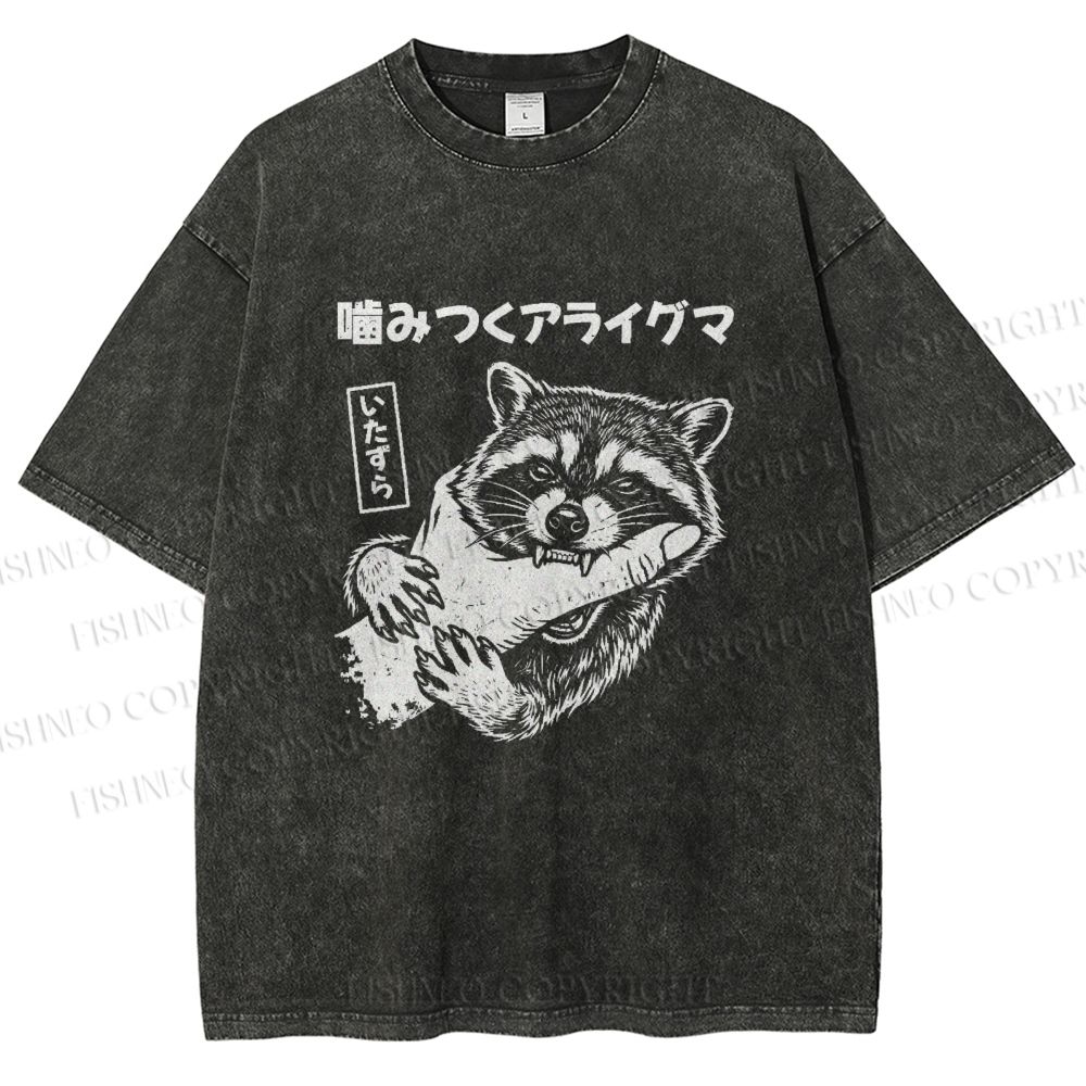 Unisex Mischief Raccoon Printed Washed Tee